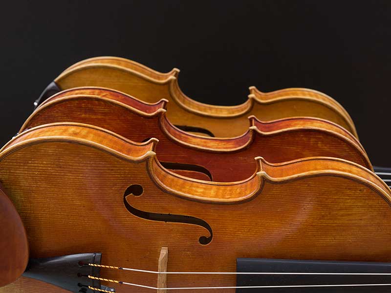 學(xué)中提琴有這么多優(yōu)勢，為什么總是被黑